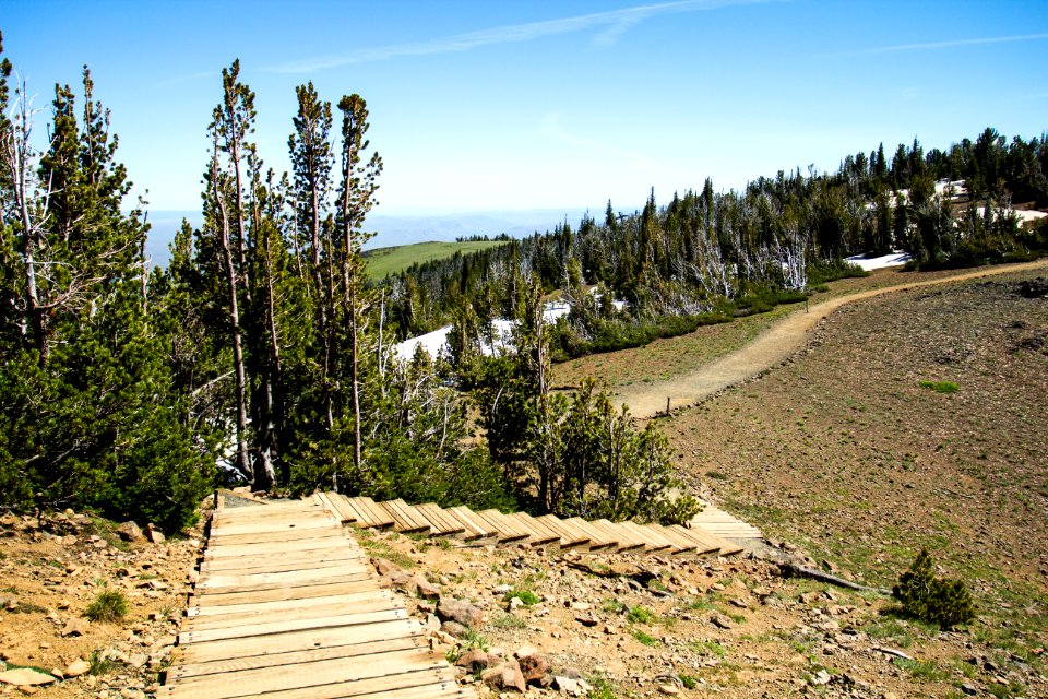 Hiking trails around Mt. Howard, Oregon