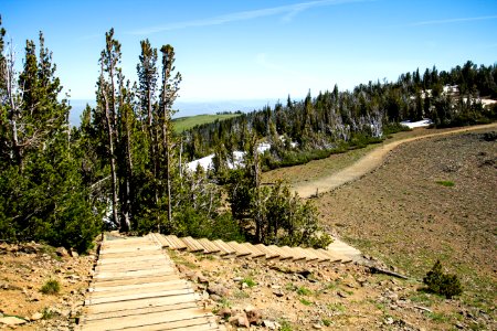 Hiking trails around Mt. Howard, Oregon photo