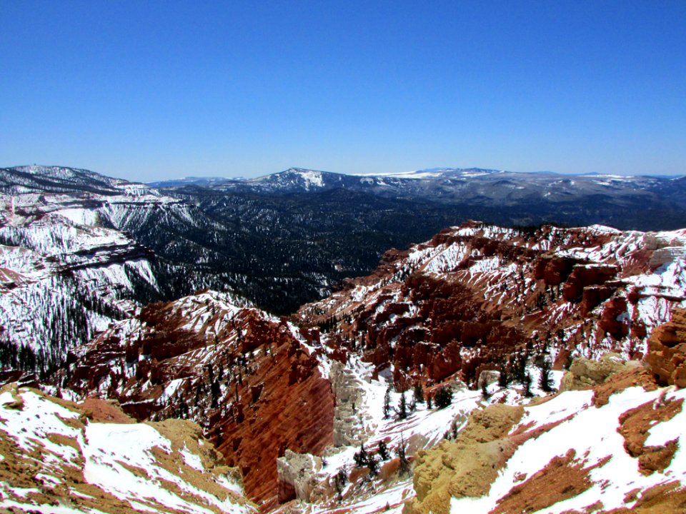 Dixie National Forest in Utah