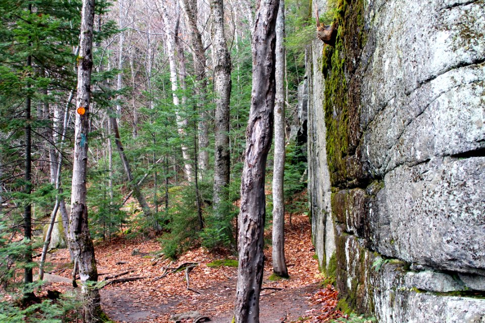 Mount Jo Hike - November 2015