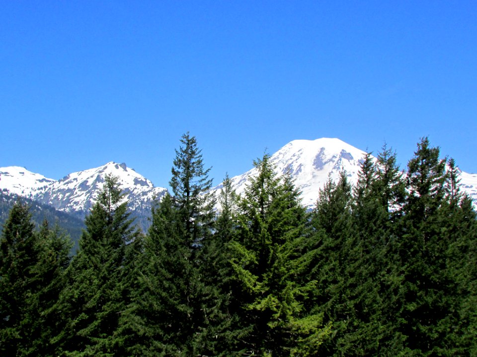 Mt. Rainier NP in Washington