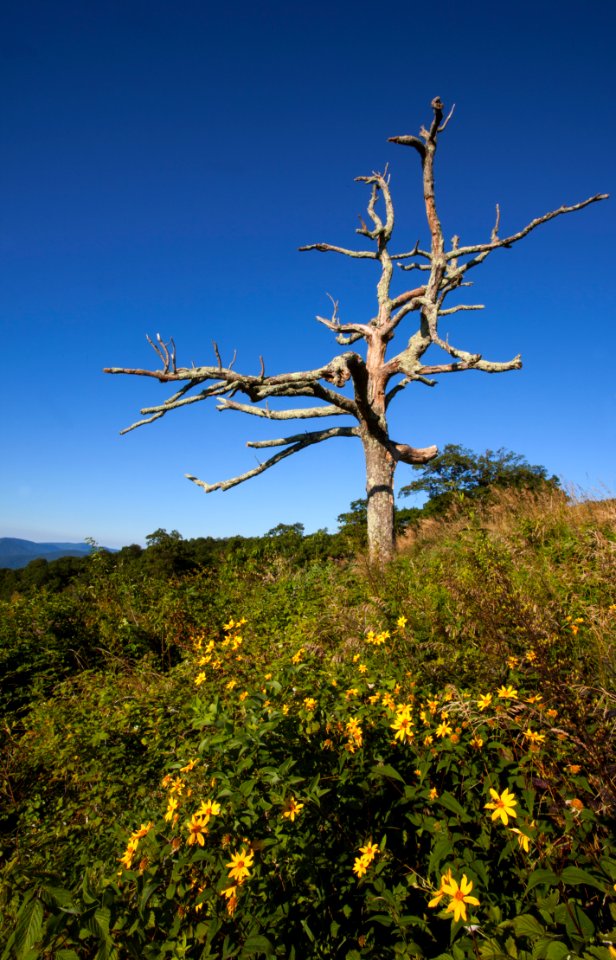 Little Devil's Stair Overlook photo