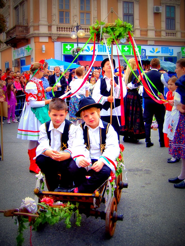 Kids in Hungarian folk costumes, Vrsac