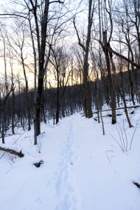 Appalachian Trail photo