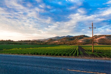 Field agricultural countryside photo