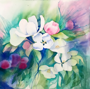 Apple Blossoms
