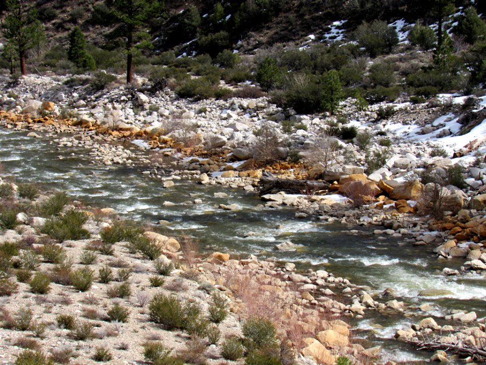 West Walker River in California