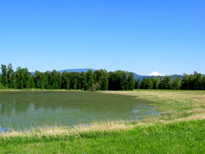 Steigerwald Lake NWR in WA