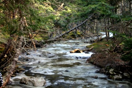 Blue Falls, Nova Scotia - March 2016