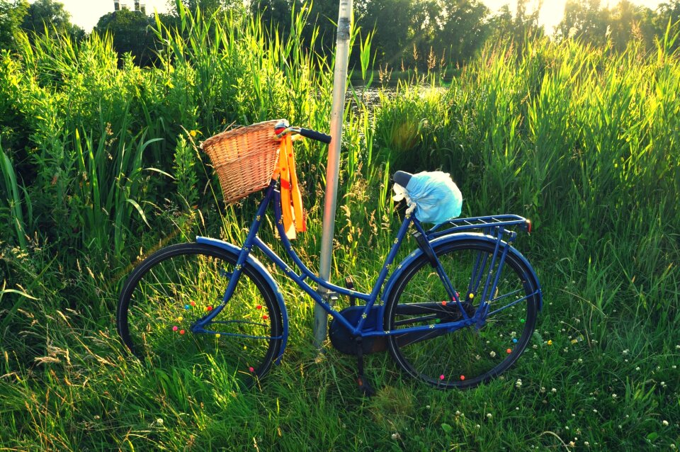 Travel transport basket