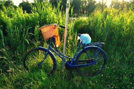 Travel transport basket photo