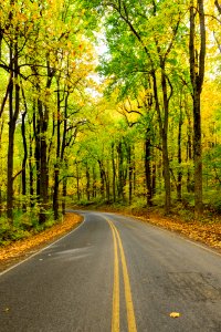 Early Fall at Low Gap