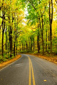 Early Fall at Low Gap photo