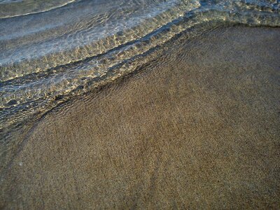 Beach sand grains