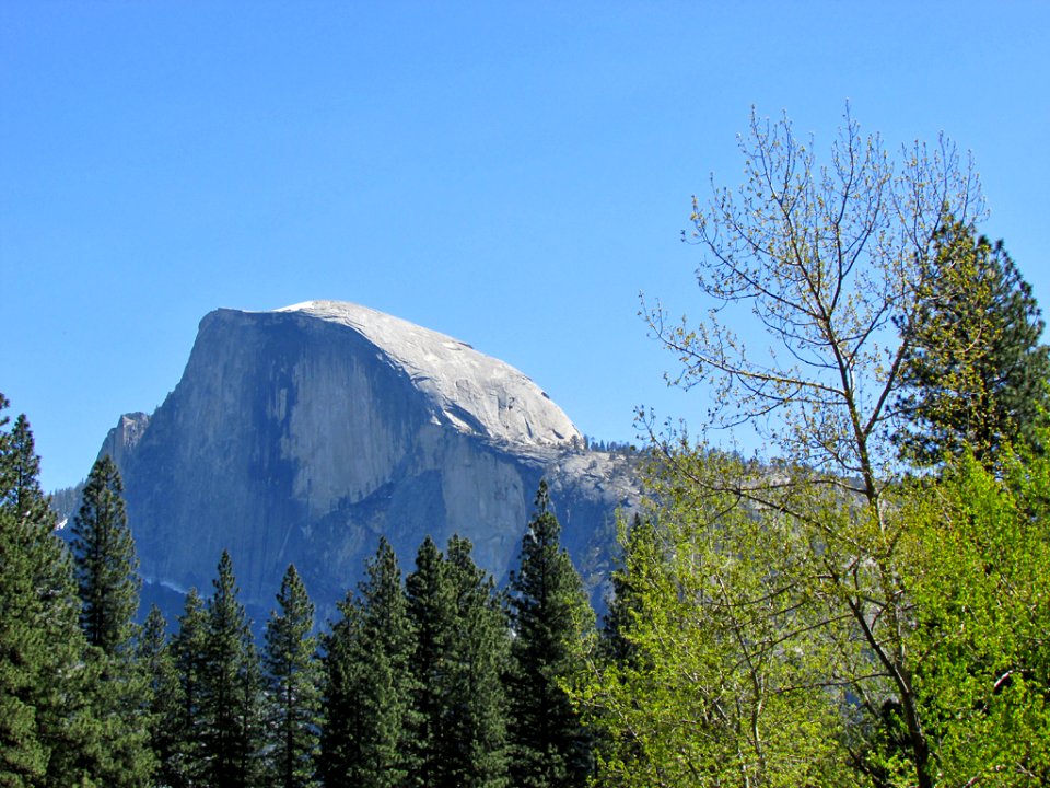 Half Dome at Yosemite NP in CA