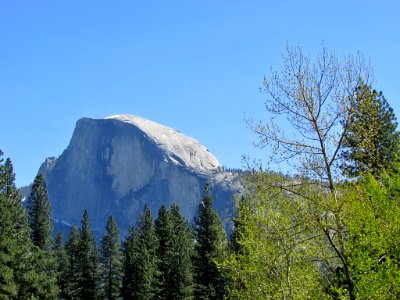Half Dome at Yosemite NP in CA photo
