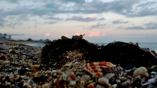Beach View
