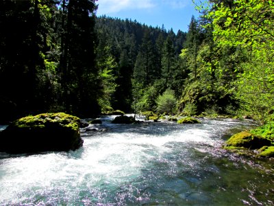 Spirit Falls Trail on Little White Salmon River in WA