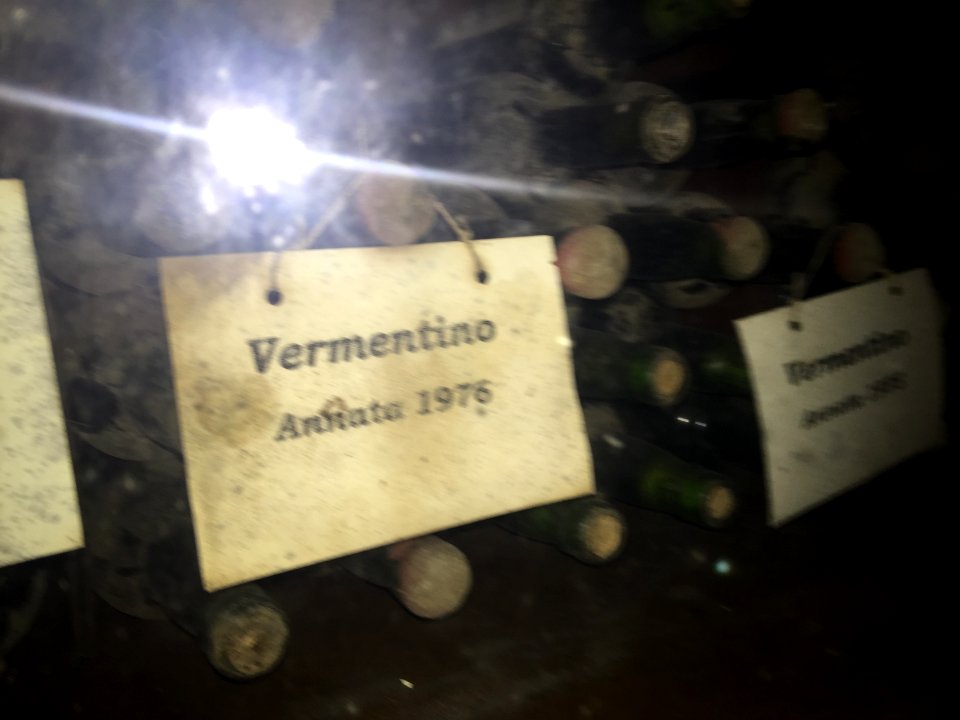 Wine Tasting at Angiolas