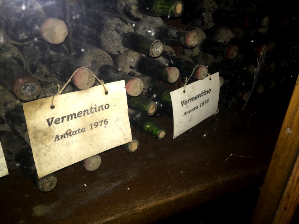 Wine Tasting at Angiolas
