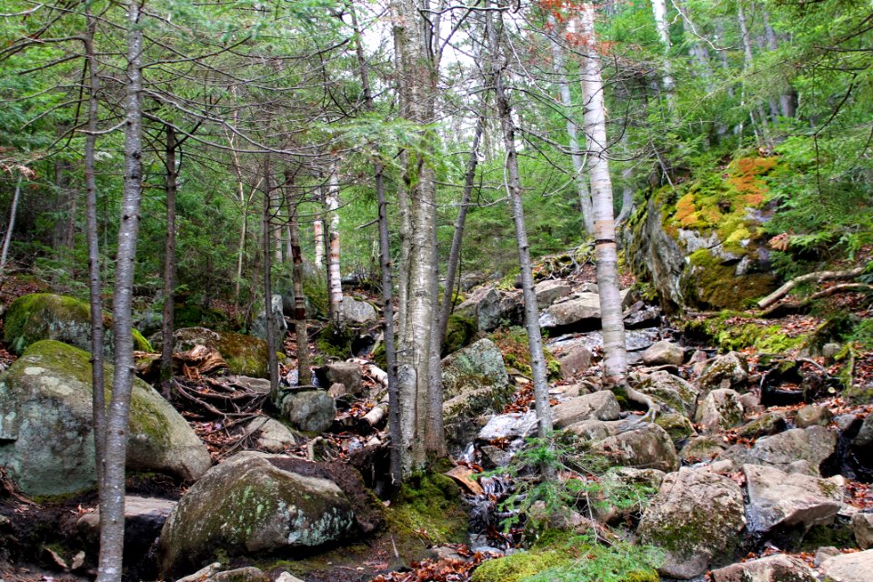 Mount Jo Hike - November 2015