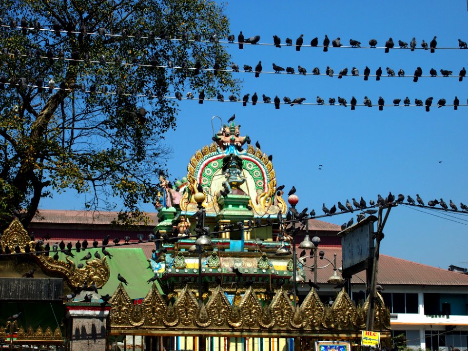 Hindu Temple