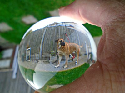 Mutly glass ball photography
