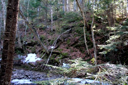 Blue Falls, Nova Scotia - March 2016