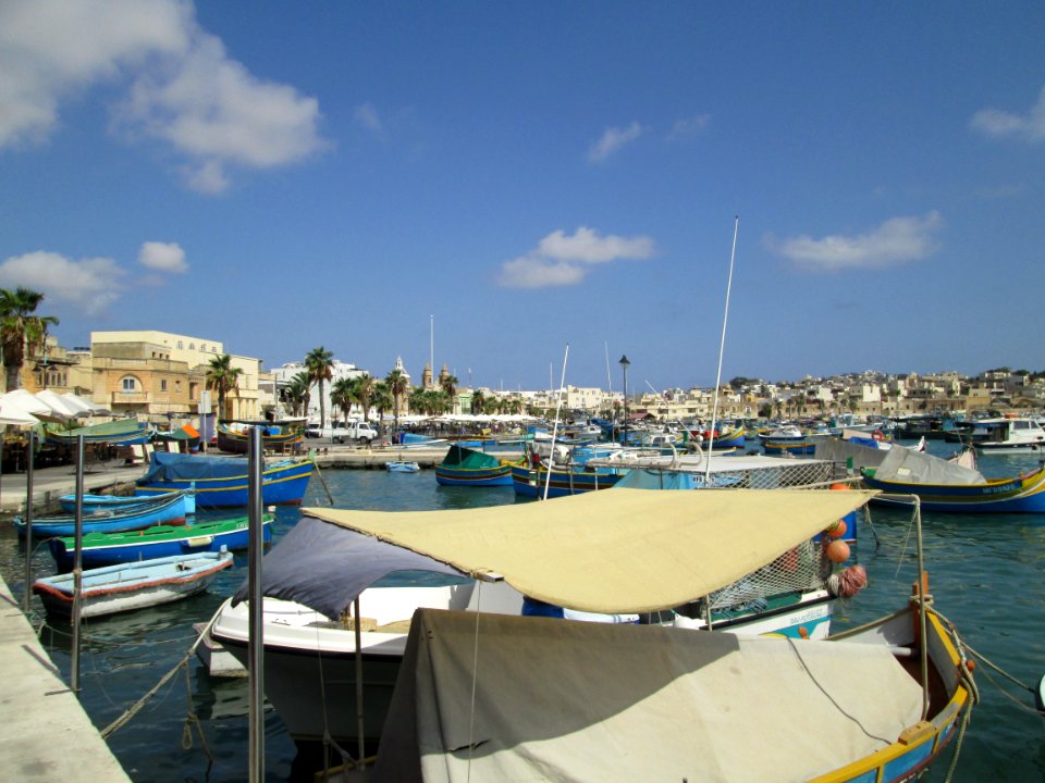 IMG 0394