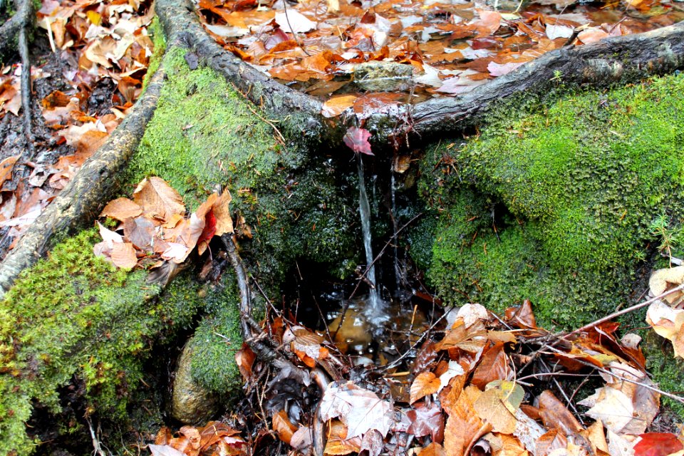 Mount Jo Hike - November 2015