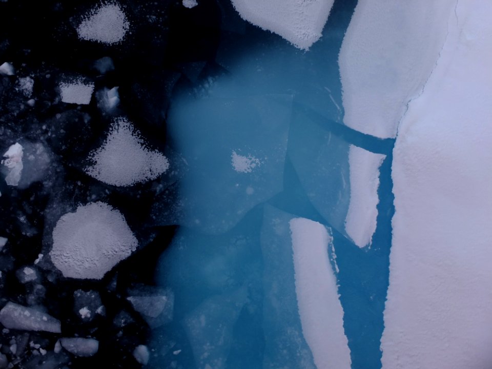 DSCF5465