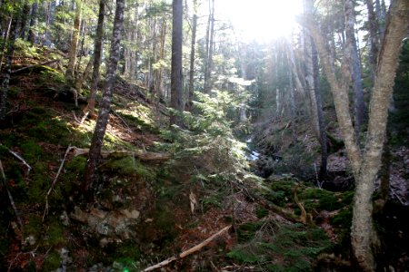 Blue Falls, Nova Scotia - March 2016