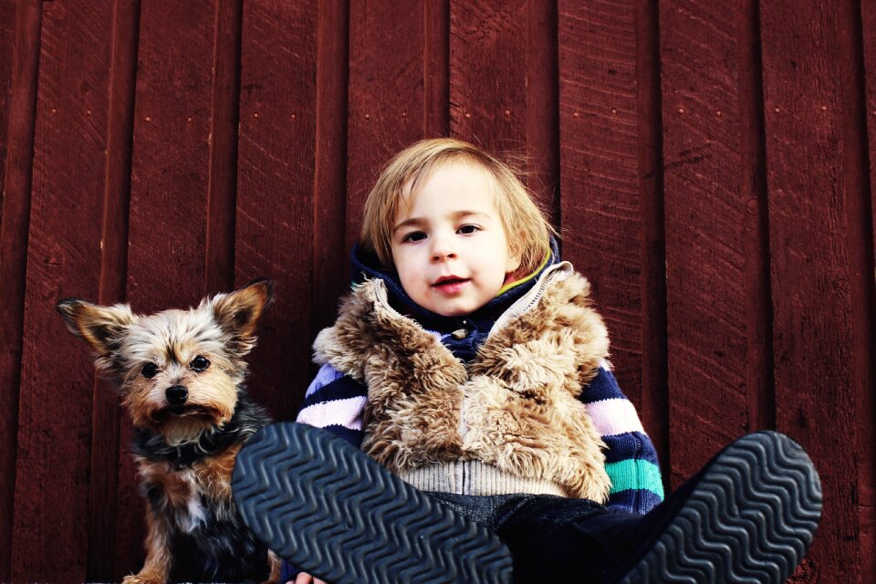Canine puppy childhood