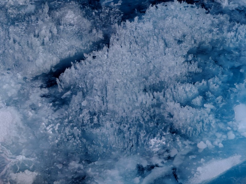 DSCF6095