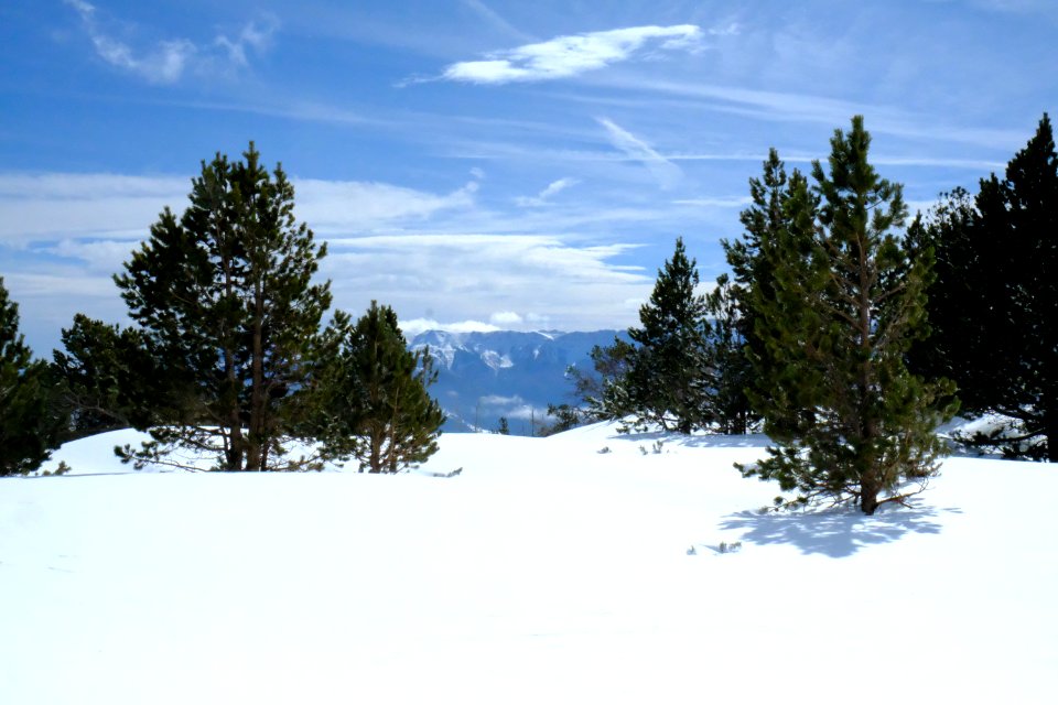 DSCF6385