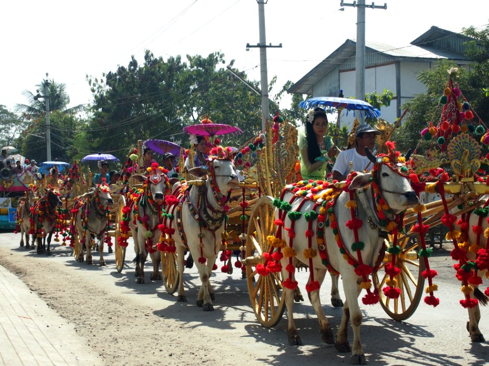 Burma Wedding Parade