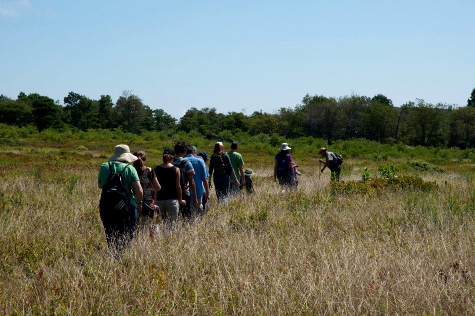 Big Meadow Walk