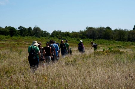 Big Meadow Walk