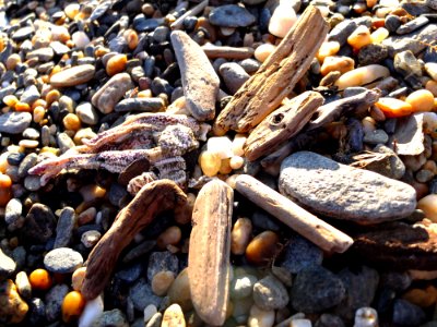 Artificial Starfish