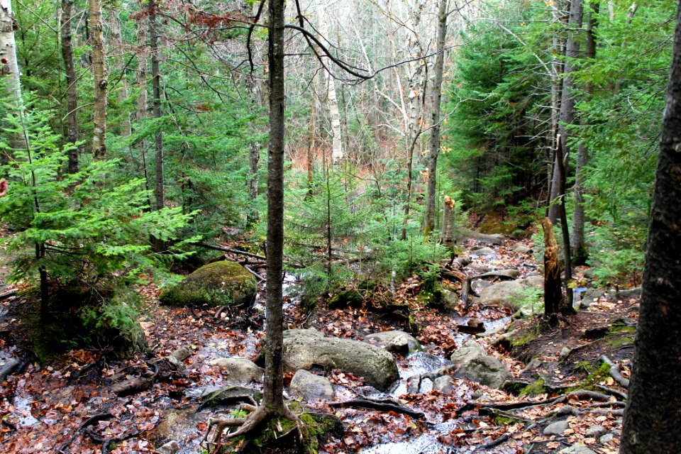 Mount Jo Hike - November 2015