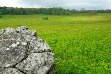 Big Meadows