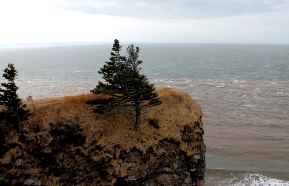 Cape Split Nova Scotia - February 2016 photo