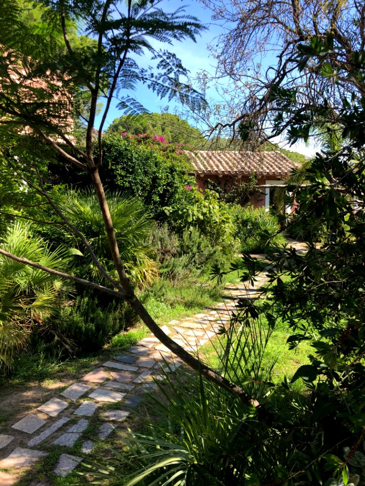 Tartarughe - Sardinia