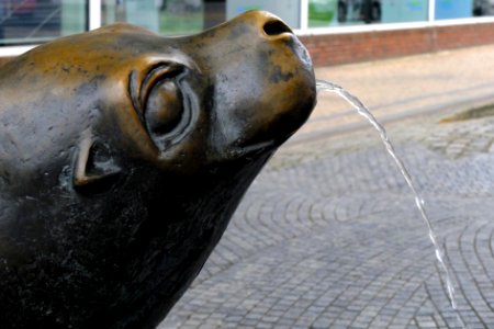 Sealed fountain