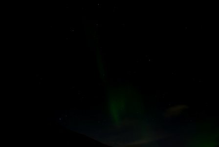 IMGP6399