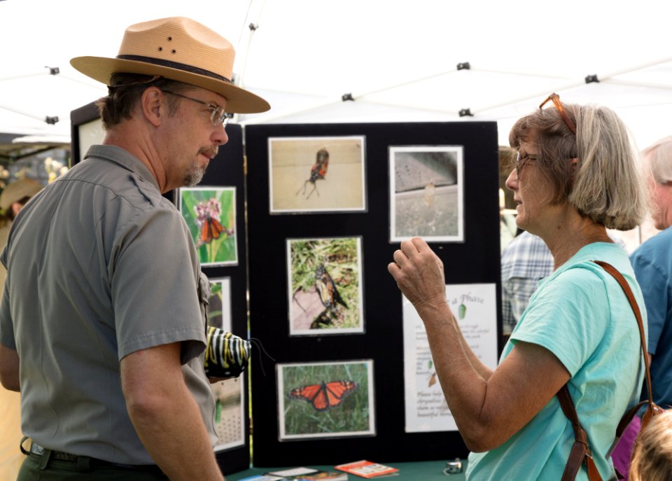Monarch Butterfly Day 2017