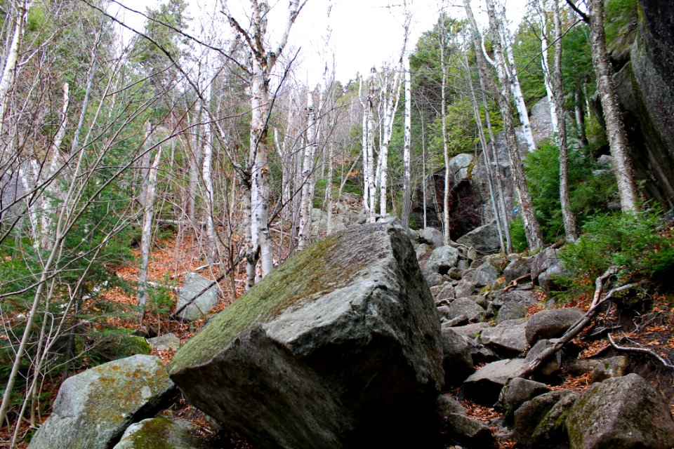 Mount Jo Hike - November 2015