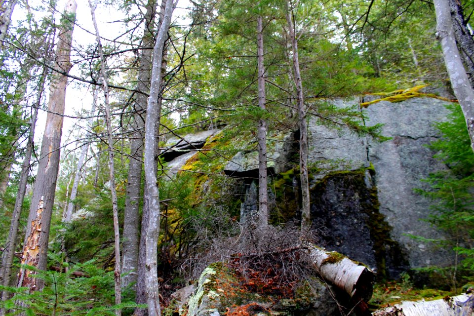 Mount Jo Hike - November 2015