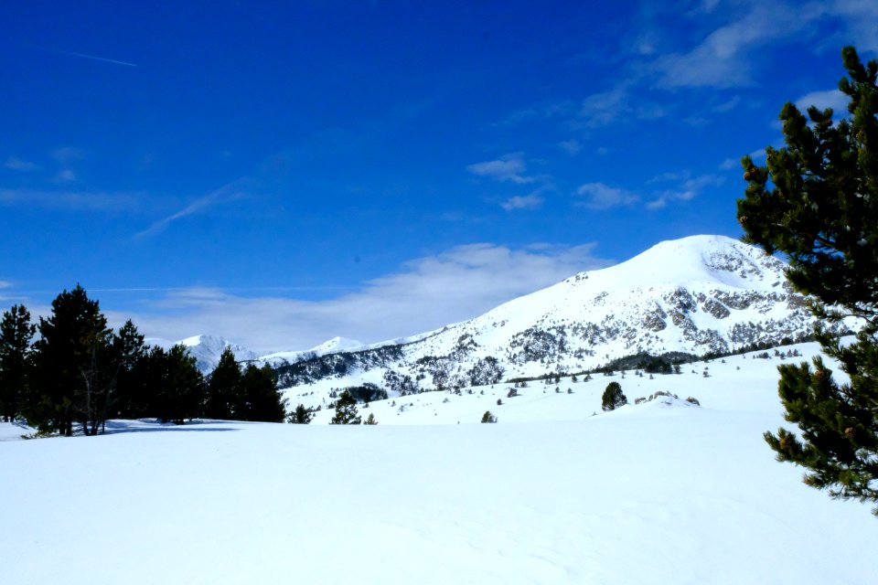 DSCF6399