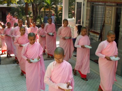 Buddhist Nuns photo